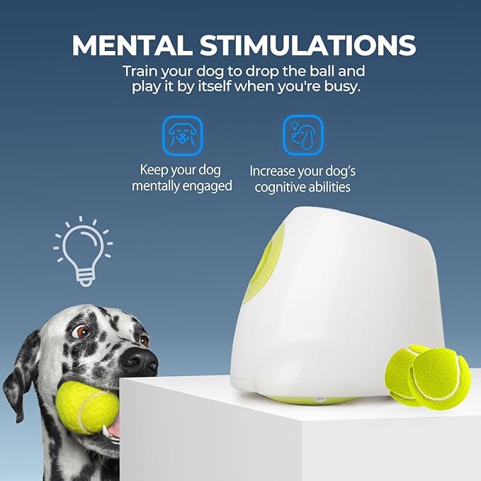 ALL FOR PAWS Automatic Ball Launcher for Dogs Interactive Puppy Pet Ball Outdoor Thrower Fetch Machine, 6 Balls Included (2.5 inch) for Medium to Large Dogs, Rechargeable Battery