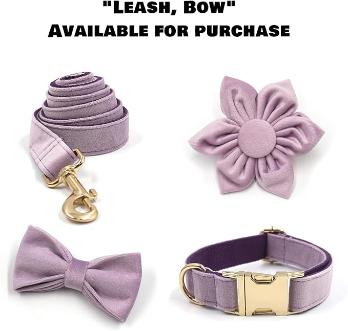 Velvet Personalized Dog Collar with Name - Customizable Dog Collar with Quick Release Metal Buckle - Leash and Bow Tie Available (Light Purple, XL)