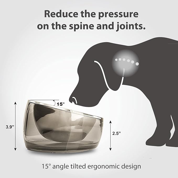 Felli Pet Oblik Spill Proof Dog Food Water Bowl Raised Acrylic Cone, Stainless Steel Tilted Oval Dish Pet Friendly, Slanted Metal Plate Feeder Elevated for Small Medium Size Dog (1.5Cup, Smoky)