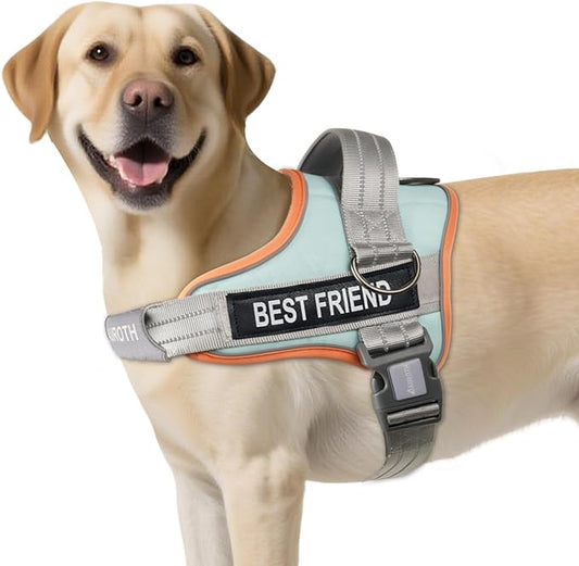 AUROTH Dog Harness No Pull Soft Padded Service Dog Vest, No Choke, Easy On Pet Vest with Handle, Adjustable Reflective Dog Harness for Small, Medium and Large Dogs, Easy Walking and Training