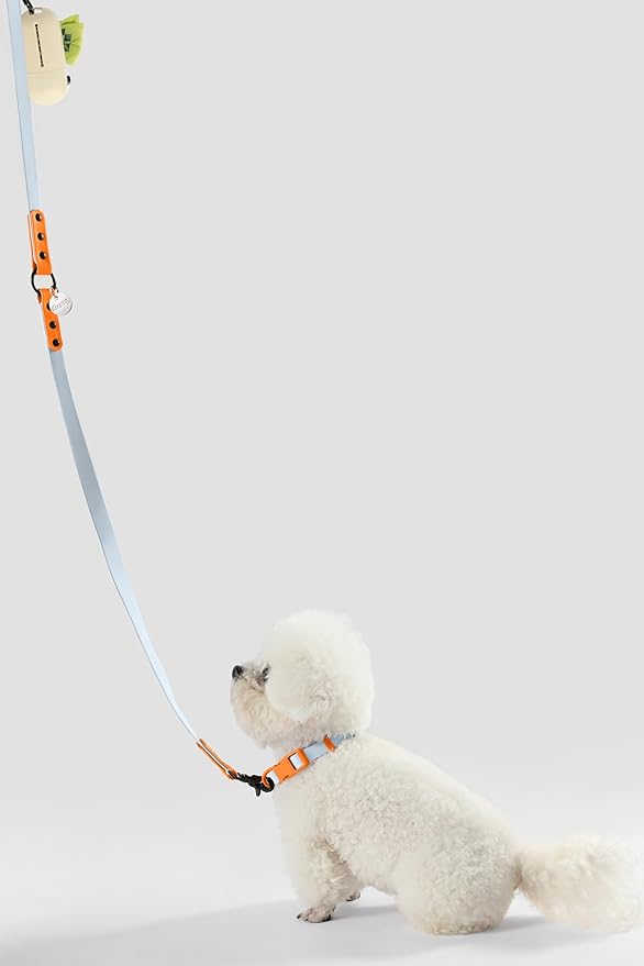 WLK1004D-5SET Luna Small 8FT Adjustable 6-in-1 Waterproof Hands-Free Leash and Collar with LED Flashlight, Bag Dispenser, and Poop Bag Holder, Fishbowl