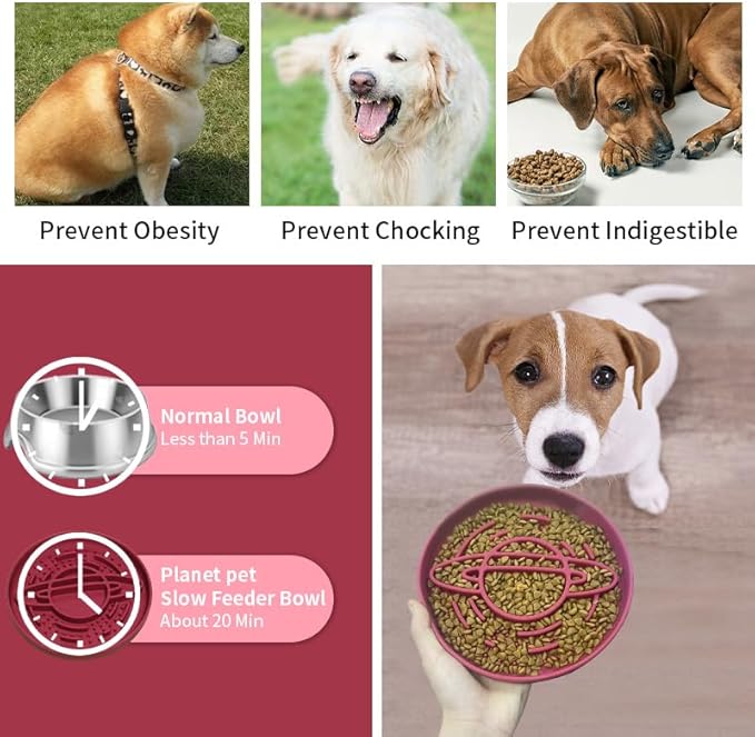 Slow Feeder Dog Bowls，Silicone pet Bowl，Suitable for Pets who eat Quickly, Prevent Choking, and Extend Feeding time