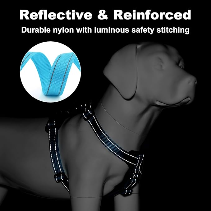 Plutus Pet Adjustable No Pull Dog Harness with Leather Accents, Heavy Duty Reflective Nylon Vest for Training, Hiking, Easy Walk Harness for Small, Medium, Large Dogs (Light Blue, XL)