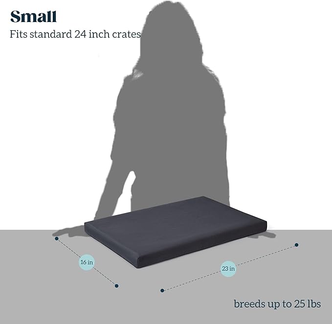 Cybarmour Chew Proof Dog Bed - Orthopedic Indestructible Dog Crate Pad - Outdoor Waterproof Kennel Mat for Aggressive Chewers - Small Breeds & Fits 24-Inch Crate - 23"x16", Black