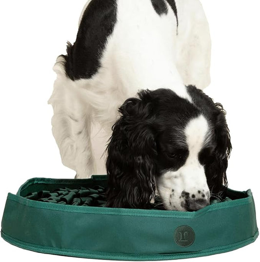 Reggie Stimulating Feeder Mat for Dogs | Slow Feeding Snuffle Mat to Reduce Speed Eating, Stress & Boredom | Dog Enrichment Toy for Mental Stimulation | Vet-Approved, Durable & Washable | Hunter Green