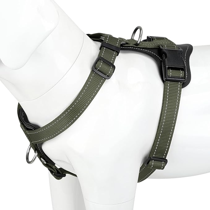 Plutus Pet Adjustable No Pull Dog Harness with Leather Accents, Heavy Duty Reflective Nylon Vest for Training, Hiking, Easy Walk Harness for Small, Medium, Large Dogs (Ranger Green, L)