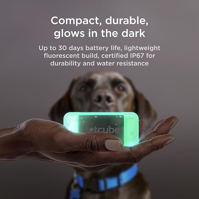 Petcube GPS Tracker for Dogs | Pet GPS Location Tracker with Escape Alerts and Virtual Fences, Activity and Wellness Monitoring, Glows in a Dark, Water and Dust Proof
