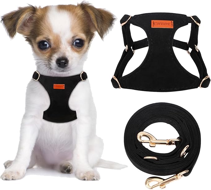 CHEDE No Pull Puppy Harness and Multifunction Dog Leash Set- 8 Colors Soft Adjustable No Choke Escape Proof Cute,Lightweight Pet Vest Harness for Small and Medium Dog (XXS, Black)