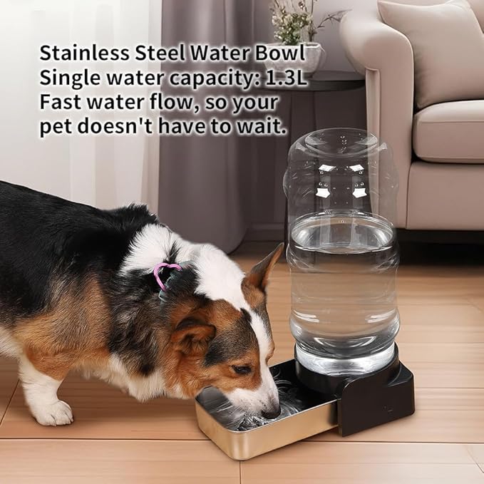 PAKEWAY Automatic Gravity Dog Water Bowl Dispenser - 1 Gal/3.8L Stainless Steel Large Capacity Waterer, for Cats & Small to Medium Dogs (3 Filters)