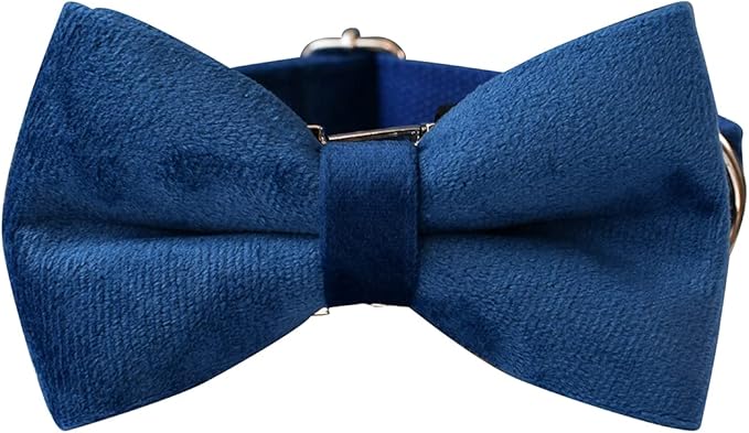 Dog Collar Custom Personalized Engraved Name and Phone Number for Puppy Small Medium Large Pets (M, Blue)