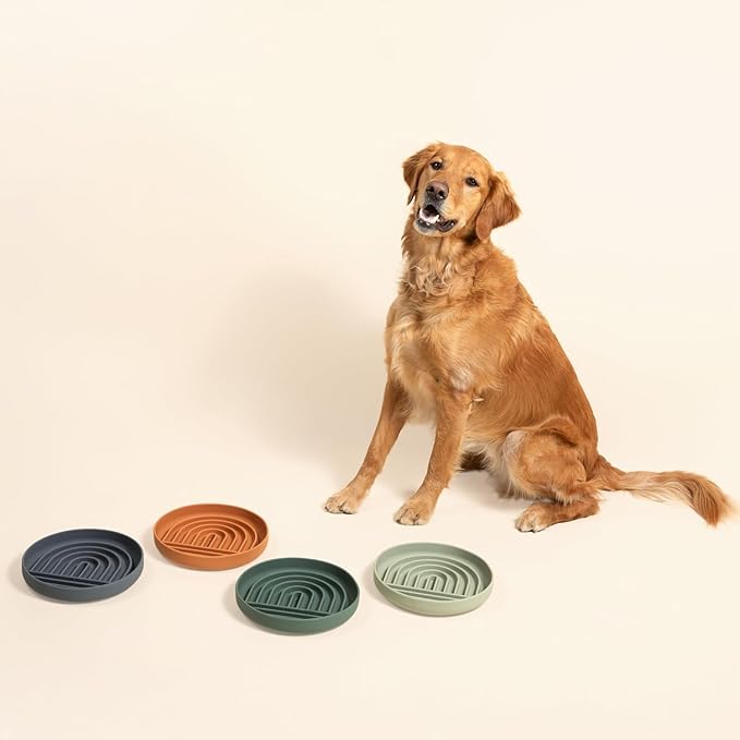 Should We Go? Slow Feeder for Dogs & Puppies, The Slowdown Bowl Silicone Slow Eating, Modern Lick Mat Design, Reduces Gulping, Fits 2.5 Cups, 9.5” Across x 1.5” Tall, Mealtime Challenge, Large-Blush