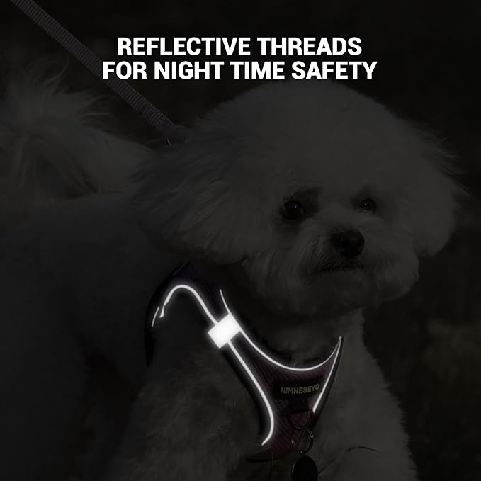 Dog Harness and Leash Set, Dog Harness for Dogs No Pull, No-Chock Step-in Reflective Breathable Lightweight Easy Walk Vest Harnesses with Safety Buckle for Small Medium Dogs, Cats (Light Purple, XL)