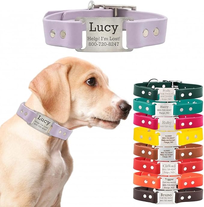 dogIDs Personalized Dog Collar – ScruffTag Custom Waterproof Biothane Dog Collar with Laser-Engraved Name, Durable & Odor-Resistant – USA Made | Lavender, 1 in x 18 in (Fits Neck Sizes 16-20 in)