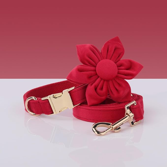 Velvet Personalized Dog Collar with Name - Customizable Dog Collar with Quick Release Metal Buckle - Leash and Bow Tie Available (Red, L)