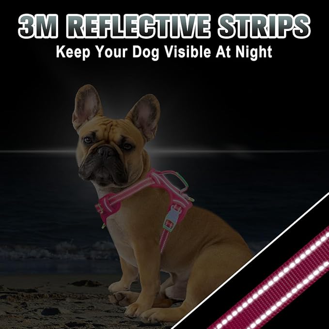 BARKBAY No Pull Dog Harness Large Reflective Dog Harness with Front Clip and Easy Control Handle for Walking Training Running with ID tag Pocket(Pink,XS)