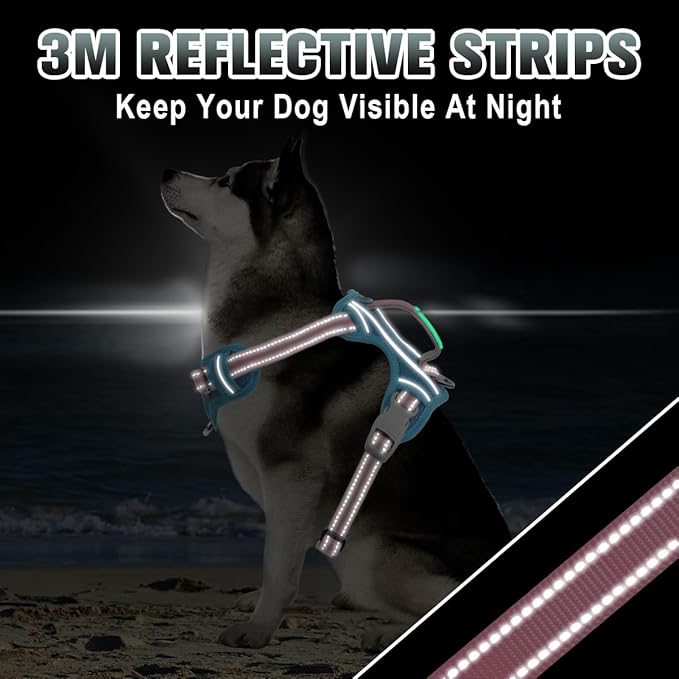 BARKBAY No Pull Dog Harness Large Reflective Dog Harness with Front Clip and Easy Control Handle for Walking Training Running with ID tag Pocket(Baby Blue & Baby Pink,M)