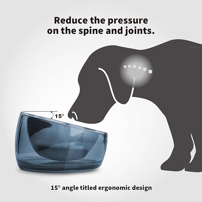 Felli Oblik Raised Dog Food Water Bowls for Small Short-Leg Dogs, Removable Stainless Steel Dish Dishwasher Safe, No Spill Tilted Metal Feeder for French Bulldog, Maine Coon Cats (1.5Cup, Shadow)