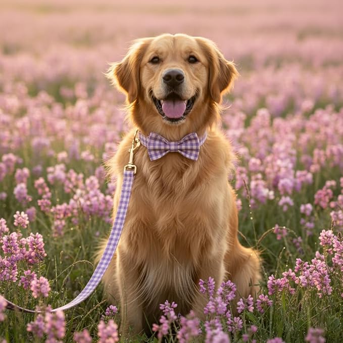 PETDURO Personalized Dog Collar Pink Purple Gingham Plaid for Large Medium Dogs | Engraved Name and Phone Number on Gold Metal Buckle for Girls | Add Leash & Bow Tie via Customize Now