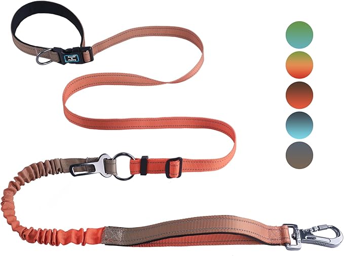 Roses&Poetry Hands Free Dog Leash for Medium Large Dogs Heavy Duty, No Pull Bungee Dog Running Waist Leash for Walking Training with Car Seatbelt 4-6FT