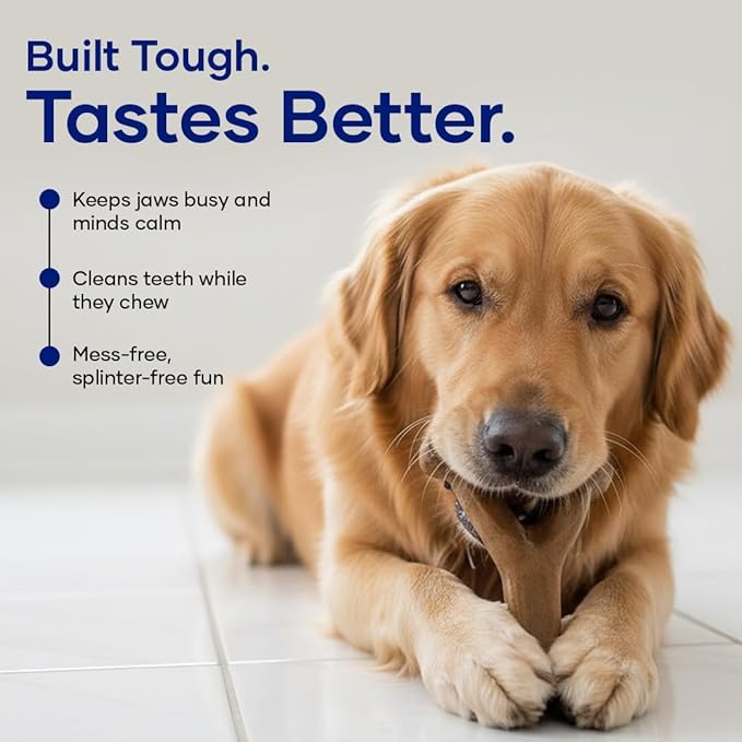 Wishbone – Bacon Flavored Dog Chew Toy | Durable, Long-Lasting, Teeth Cleaning | Safe for Heavy Chewers