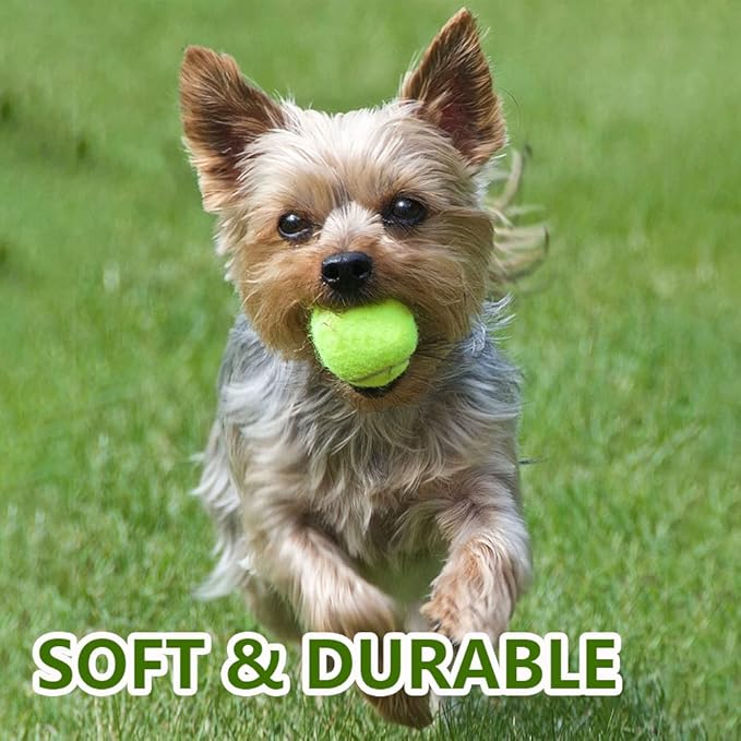 BESTHLS Pet Ball for Dog Small 2inch Pet Toy Tennis Balls for Pet Puppy Tiny Small Dogs Fetching Exercise & Training (16 Pack)