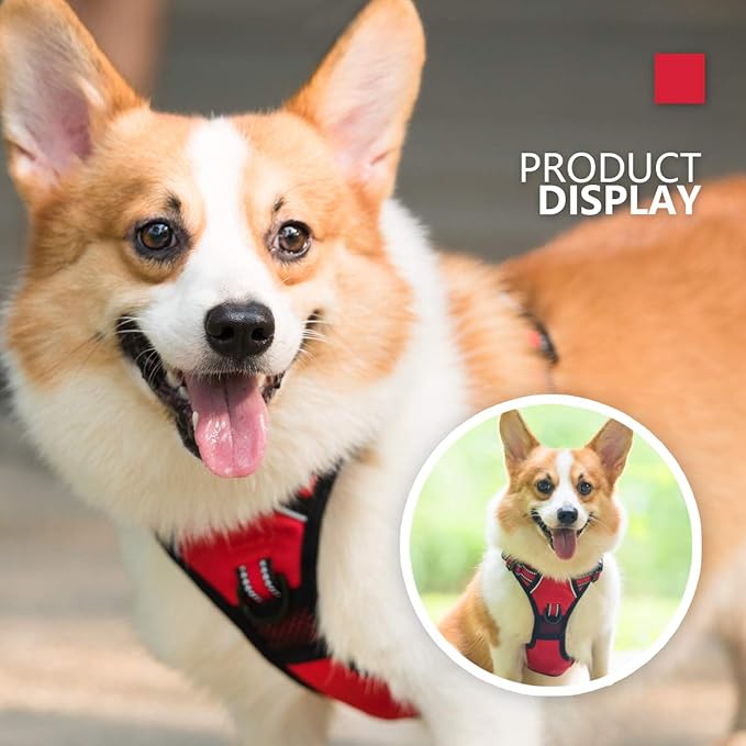 PoyPet No Pull Dog Harness, [Release on Neck] Reflective Adjustable No Choke Pet Vest with Front & Back 2 Leash Attachments, Soft Control Training Handle for Small Medium Large Dogs(Red,S)