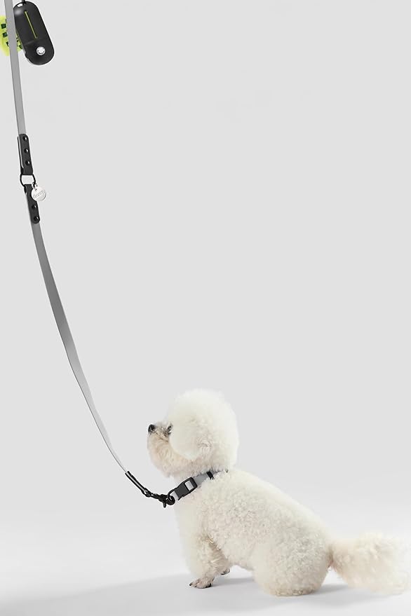 WLK1004N-5SET Luna Small 8FT Adjustable 6-in-1 Waterproof Hands-Free Leash and Collar with LED Flashlight, Bag Dispenser, and Poop Bag Holder, Martini