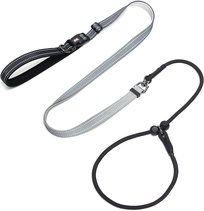 QQPETS Adjustable Slip Lead Dog Leash, Hands Free Waist Leash for Dog Walking, Reflective Training Lead with 360° Swivel Anti-Tangle, 4-7 ft Length for All Breeds