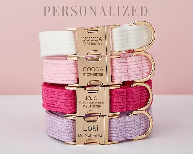 Custom Dog Collar with Metal Buckle - Pet Collars Personalized with Name and Phone Number (Corduroy)