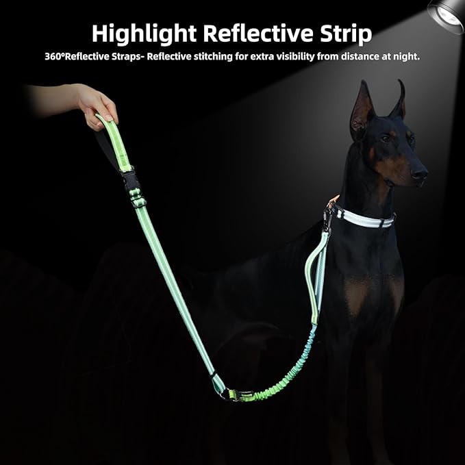 Roses&Poetry Hands Free Dog Leash for Medium Large Dogs Heavy Duty, No Pull Bungee Dog Running Waist Leash for Walking Training with Car Seatbelt 4-6FT