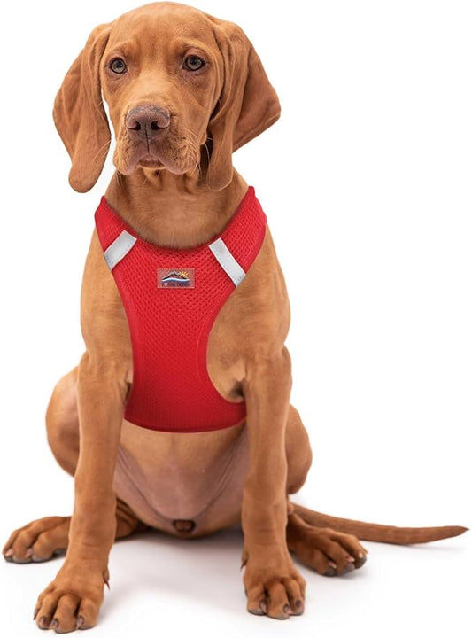 Doggie Design Dog Harness - No Choke Dog Harness, Dog Vest, Mesh Polyester, Pet Harness, Simple Step in and Go Design, Harness for Dog - Red, 2X/3X-Large