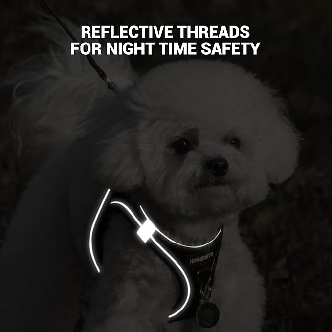 Dog Harness and Leash Set, Dog Harness for Dogs No Pull, No-Chock Step-in Reflective Breathable Lightweight Easy Walk Vest Harnesses with Safety Buckle for Small Medium Dogs, Cats (Black, L)