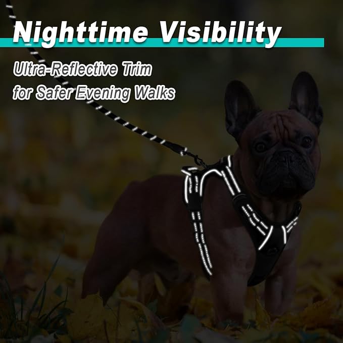 BARKBAY Dog Harness No Pull for Small Dogs - Adjustable, Reflective, Comfortable, No Choke, Heavy-Duty - Perfect for Outdoor Training, Walking, and Hiking - Strong & Durable - XS & Black