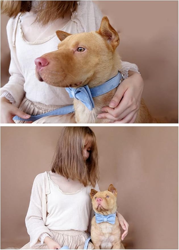 Dog Collar Custom Personalized Engraved Name and Phone Number for Puppy Small Medium Large Pets (XL, Sky Blue)