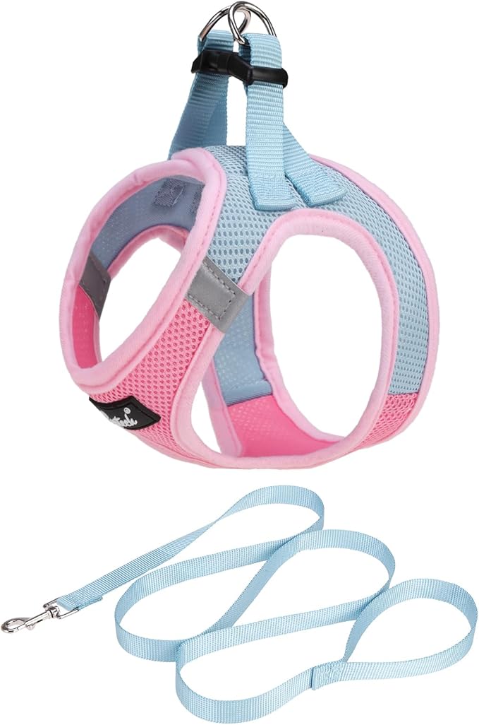 PUPTECK Dog Harness and Leash Set for Small Medium Dogs No Pull Step-in Soft Mesh Puppy Cat Vest Harnesses Reflective at Night, Pink & Blue, S