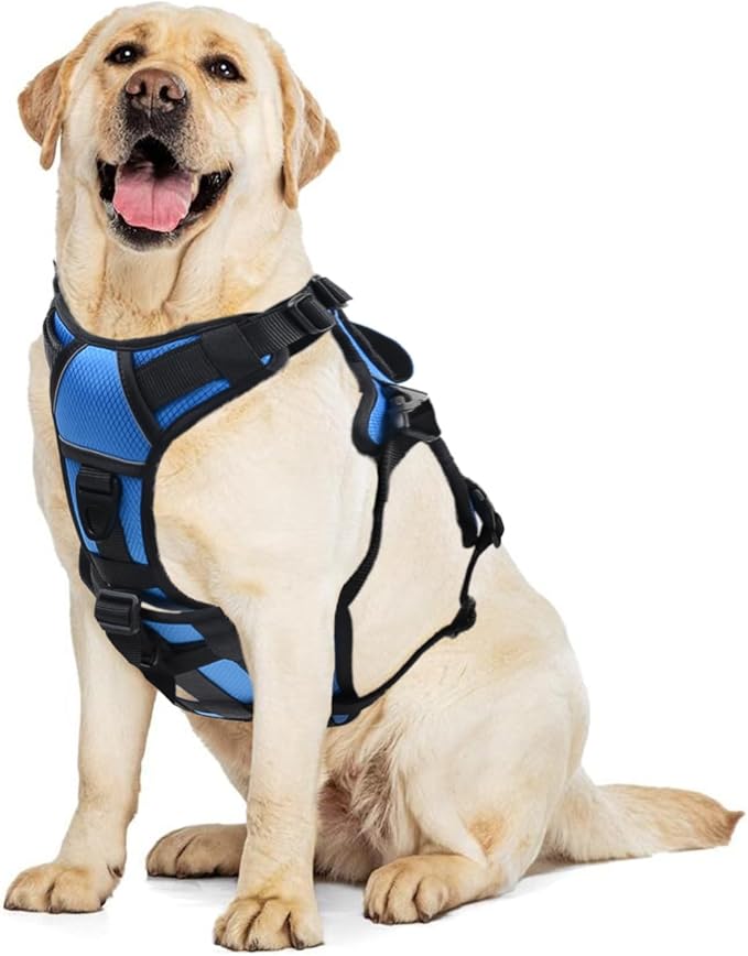 AUROTH Escape Proof Dog Harness - No Pull with Lift Handle, Soft Padded Reflective Adjustable Vest, Large for Walking, Hiking, Training