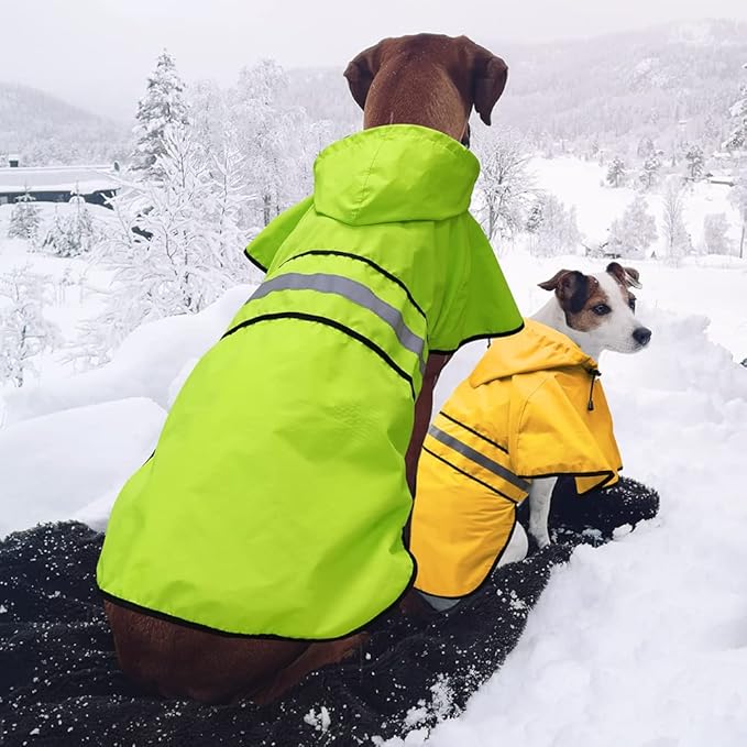 Candofly Dog Raincoat, Waterproof Dog Rain Jacket Lightweight Reflective Pet Poncho Slicker with Leash Hole (Medium, Green)