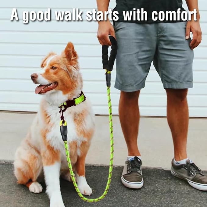 COOYOO Dog Leash 5/6 FT with Comfortable Padded Handle and Highly Reflective Threads for Small Medium and Large Dogs