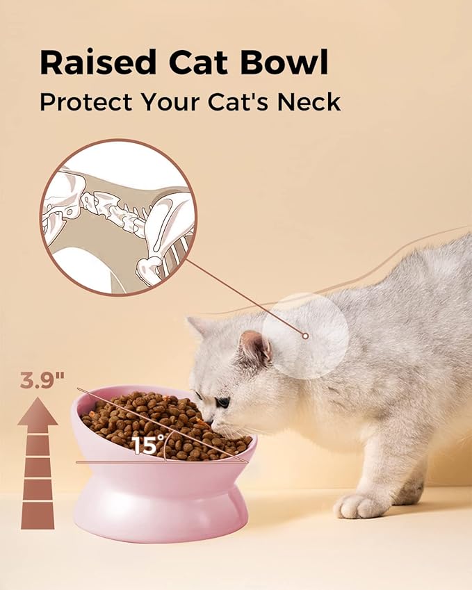 LoeJan Elevated Cat Food Bowl, 5 Oz Ceramic Raised and Tilted Water Bowl, Anti Vomiting and Protect Pets' Spines Dishes for Small Dog, Fat Faced Cat, Kitten (Pink, 1 Pack)