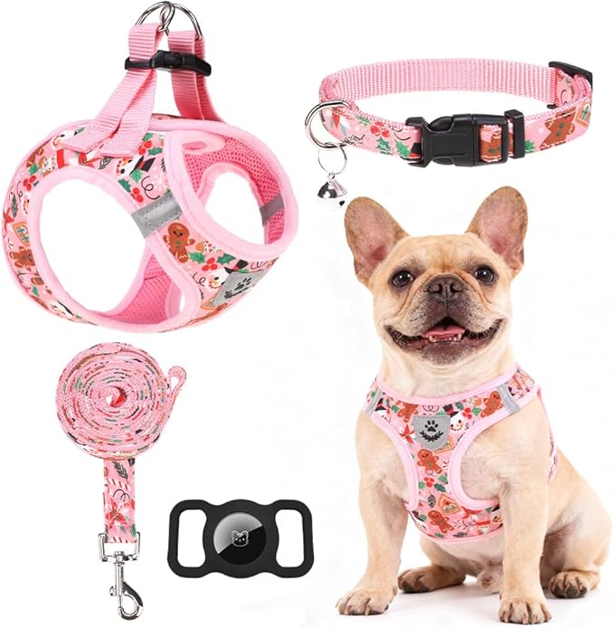 EXPAWLORER Christmas Puppy Harness - Dog Collar and Leash - Soft Mesh Padded Adjustable Step in Small Dog Vest Harness No Pull, Reflective Escape Proof for Outdoor Walking, Red M