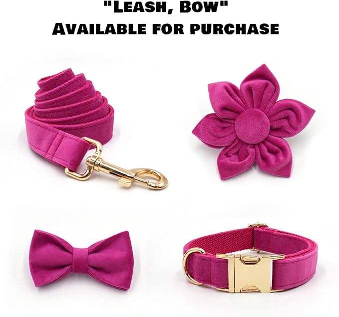 Velvet Personalized Dog Collar with Name - Customizable Dog Collar with Quick Release Metal Buckle - Leash and Bow Tie Available (Rose, M)