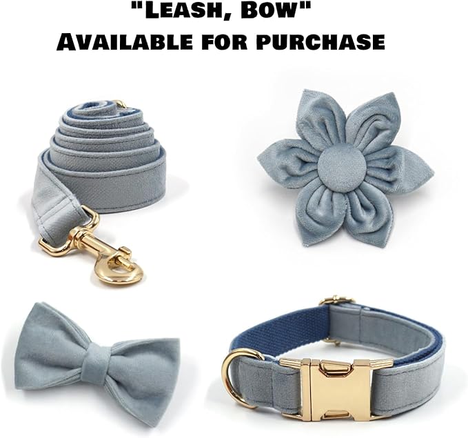 Velvet Personalized Dog Collar with Name - Customizable Dog Collar with Quick Release Metal Buckle - Leash and Bow Tie Available (Chambray, XS)