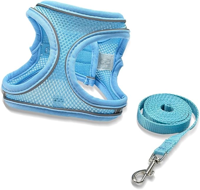 Dog Harness Small Sized and Leash Set, Dog Harness with Leash Set, Comfortable Air Mesh Dog Vest Harness with Reflective Strip, Reflective for Safe Easy Walking Dogs, Cats, Blue S