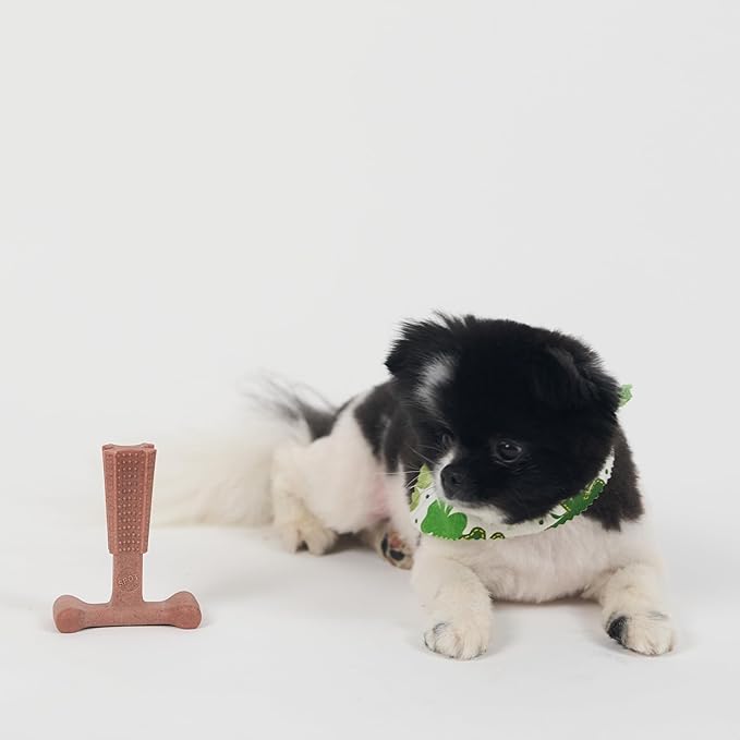 SPOT Bam-Bones Plus T Bone – Bamboo Fiber & Nylon Dog Chew Toy for Moderate to Aggressive Chewers, Durable & Non-Splintering, Long Lasting Beef Flavor Toy for Dogs & Puppies Under 30 lbs, 4 in