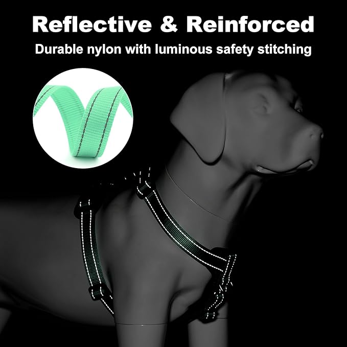 Plutus Pet Adjustable No Pull Dog Harness with Leather Accents, Heavy Duty Reflective Nylon Vest for Training, Hiking, Easy Walk Harness for Small, Medium, Large Dogs (Teal, L)