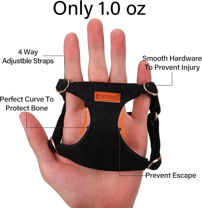 CHEDE No Pull Puppy Harness and Multifunction Dog Leash Set- 8 Colors Soft Adjustable No Choke Escape Proof Cute,Lightweight Pet Vest Harness for Small and Medium Dog (XXS, Black)