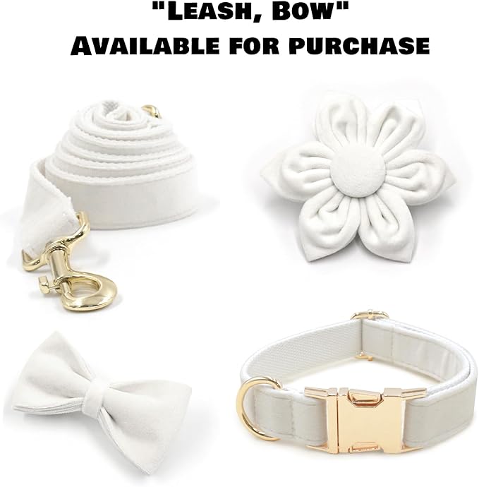 Velvet Personalized Dog Collar with Name - Customizable Dog Collar with Quick Release Metal Buckle - Leash and Bow Tie Available (White, XS)