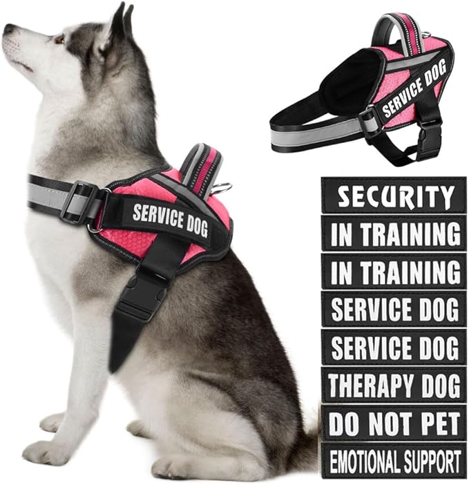 Dog Vest Harness and Patches Set, Animire in Training Service Dog Harness with 10 Dog Patches, Reflective Dog Vest with Handle for Small, Medium, Large, and Extra-Large Dogs