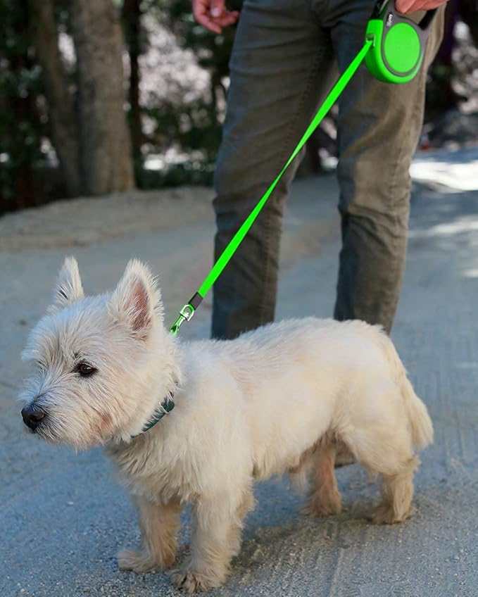 Taglory Retractable Dog Leash, 16ft No Tangle Leash Retractable for Small Medium Dogs Up to 44 lbs, One-Handed Brake, Pause, Lock, Green