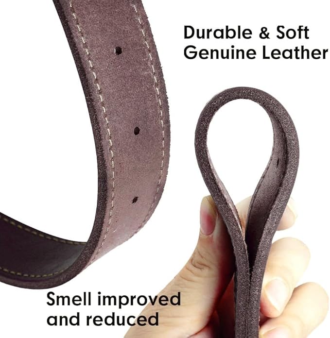 Didog Genuine Leather Dog Collars with Engraved Nameplate, Personalized Soft Leather Dog Collar with Custom ID Tag, Brown/Green/Red for Small Dogs (S,Brown)